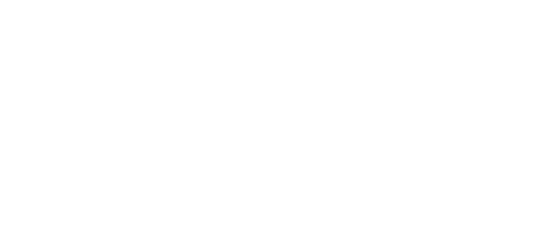 NEXT EPOCH logo
